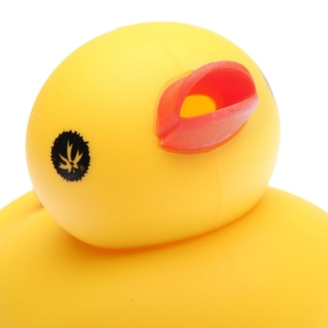 PMG – Kwack Yellow