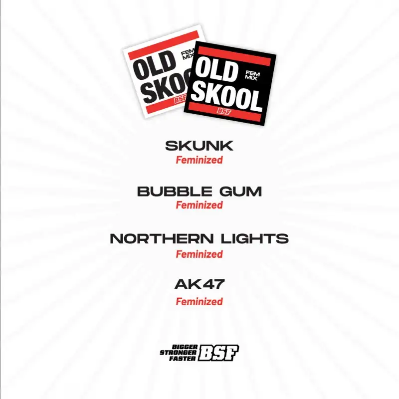 Old Skool Feminized Mix- X12 - Imagen 2