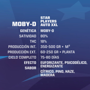 Moby-D XXL Auto – X2