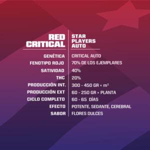 Red Critical Auto – X2