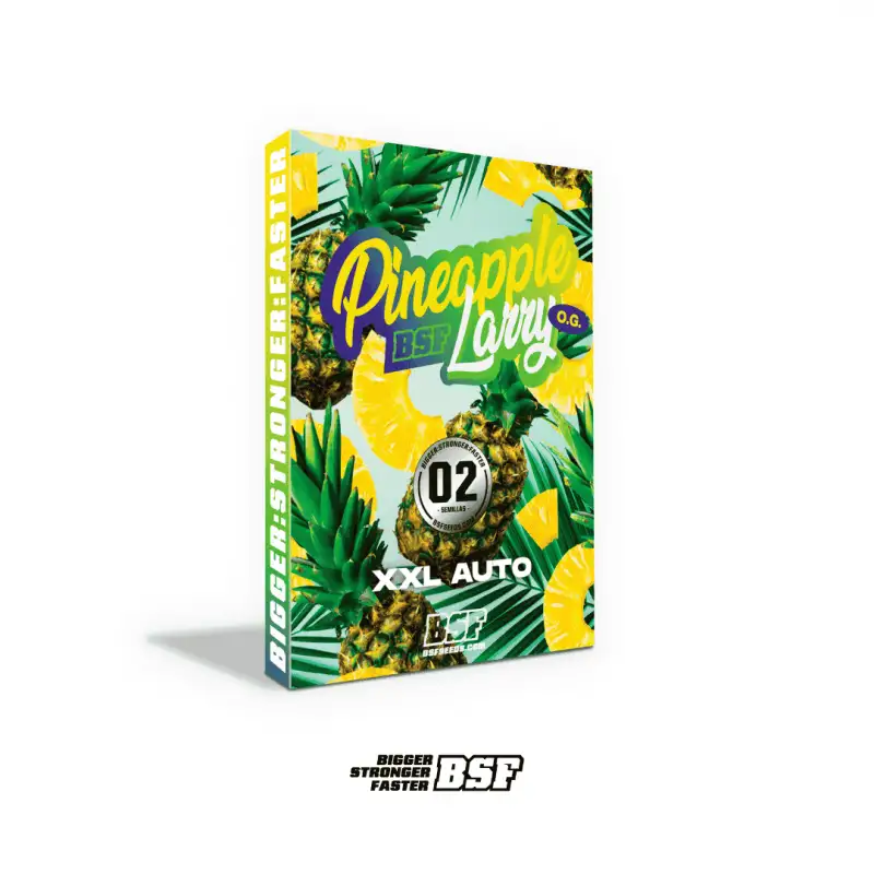 Pineapple Larry OG XXL Auto-X2 - Imagen 4