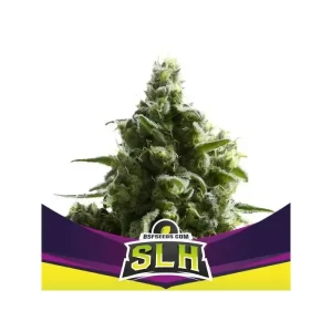 SLH – X2