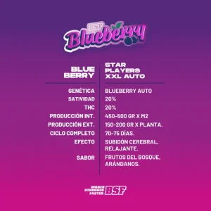 Blueberry XXL Auto-X2