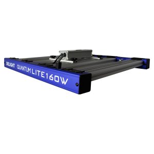 QUANTUM LITE 160W