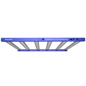 NEW QUANTUM LITE 600W