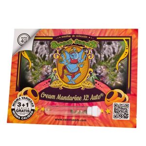 Cream Mandarine XL Auto