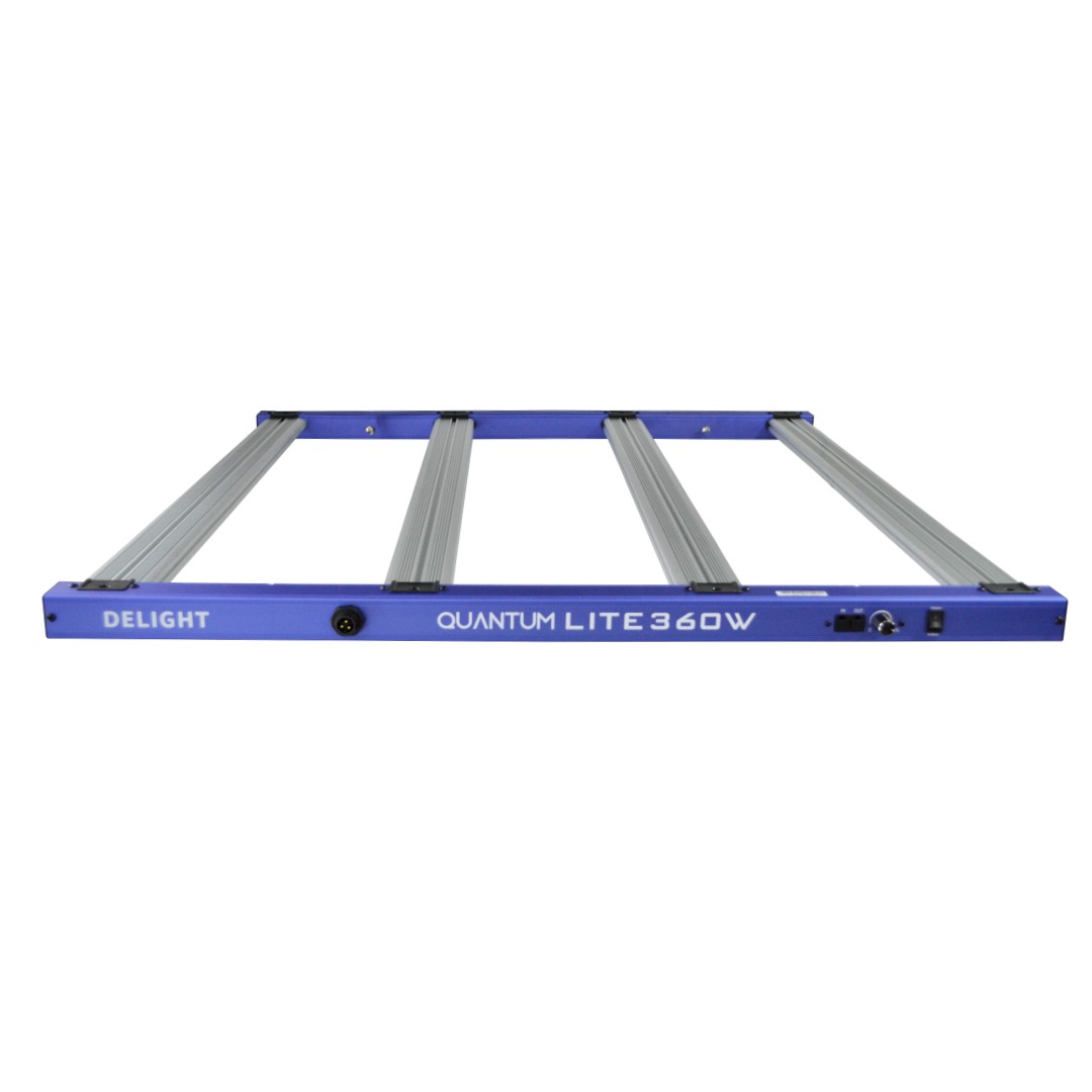 NEW QUANTUM LITE 360W-DELIGHT - Imagen 3