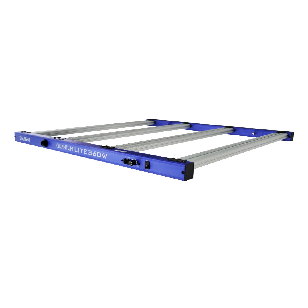 NEW QUANTUM LITE 360W-DELIGHT - Imagen 2