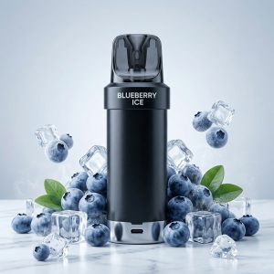 RECARGA 5000 BLUEBERRY ICE-WOTOFO