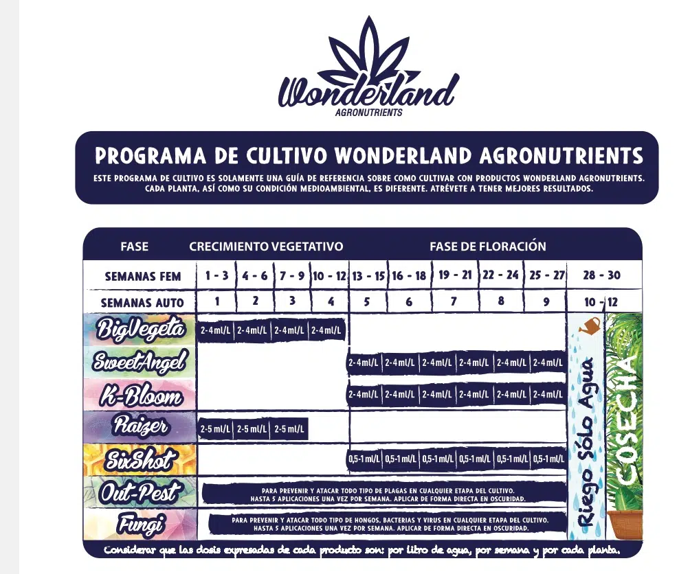 Wonderland Out pest - 250cc - Imagen 2
