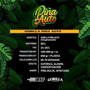 Auto Gorilla Piña BSF X4
