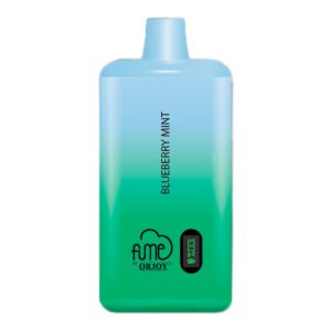 Vape Fume Recharge Plus 10.000 Puff Blueberry Mint 4,5% Nic