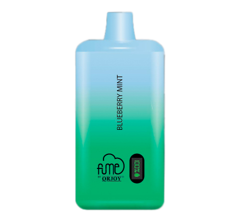 Vape Fume Recharge Plus 10.000 Puff Blueberry Mint 4,5% Nic